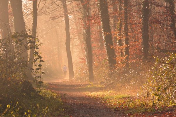 Path